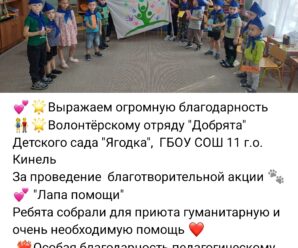 Благотворительная акция «Лапа помощи» 