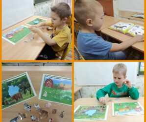 Дидактическая игра «Кто, где живет?»