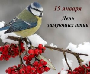 Всероссийский день зимующих птиц